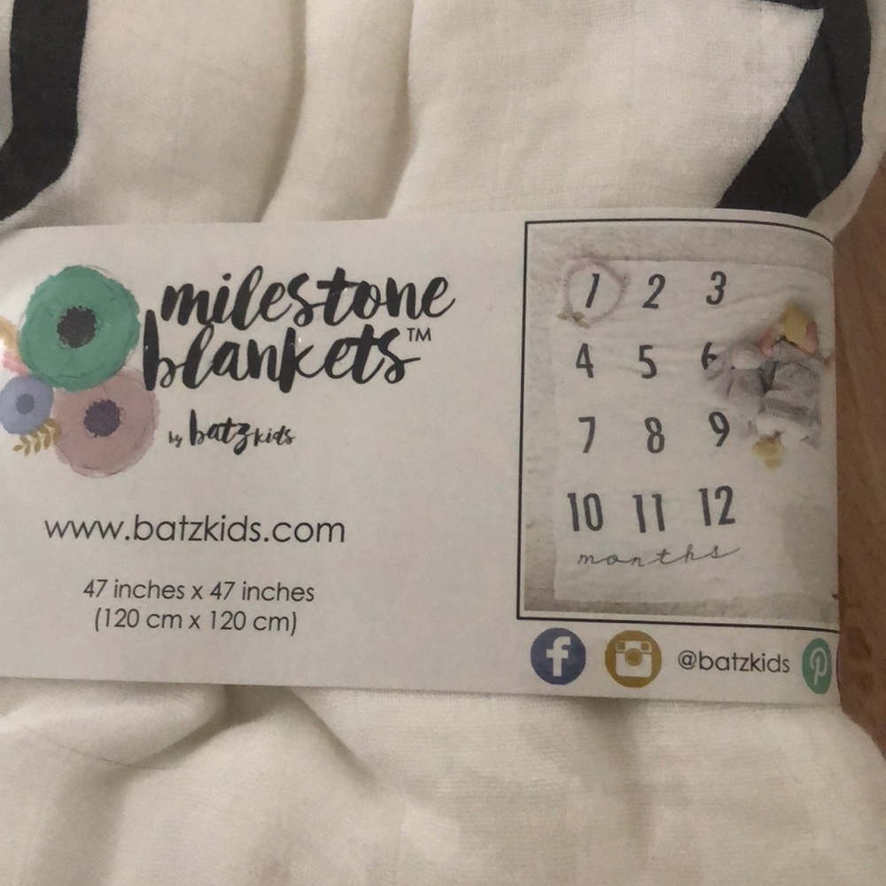 Baby Milestone Blanket